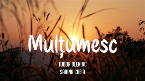 tudor olenciuc|Mulțumesc (M.